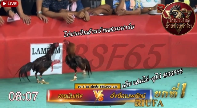 สายบันเทิง 🆚 อั้งยี่สามพยัคฆ์ ยกที่ 1️⃣ ( สนาม บ้านใหม่ลำปาง )
