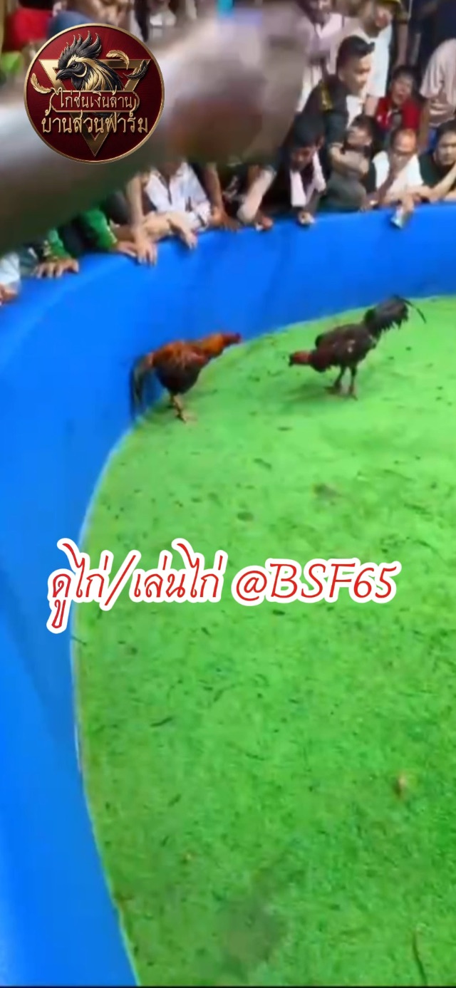 คลิป เจ้ารถเกี่ยว ซุ้มมือน้ำอิสระ ไฟต์ล่าสุด