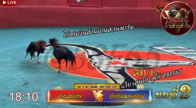 สายบันเทิง 🆚 อั้งยี่สามพยัคฆ์ ยกที่ 2️⃣ ( สนาม บ้านใหม่ลำปาง )