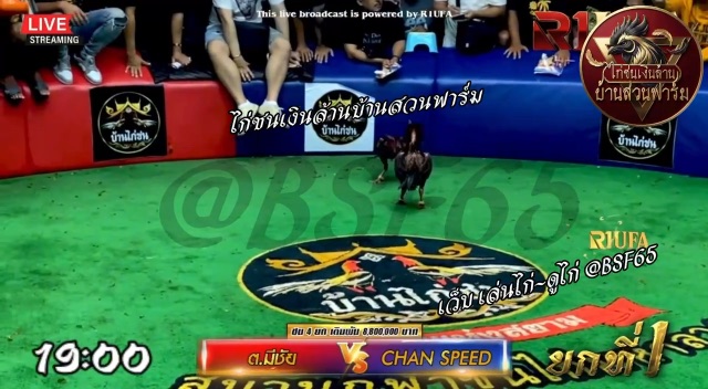 ต.มีชัย 🆚 Chan speed (ยกที่ 1️⃣ คู่เอก สนาม มหาลาภ)