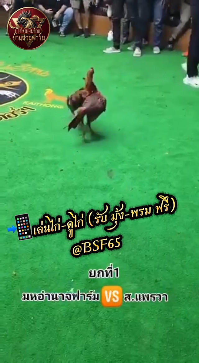 คลิปไฟต์ล่าสุด เจ้าช็อคโกแลต ซุ้ม มหาอำนาจฟาร์ม