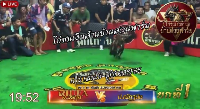 ป.ณัฐนิช 🆚 ส.วีรกุล  สนามบึงทับแต้ ยกที่ 1️⃣
