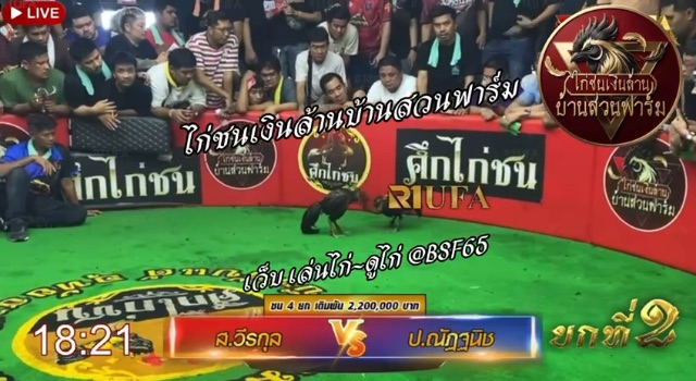ป.ณัฐนิช 🆚 ส.วีรกุล  สนามบึงทับแต้ ยกที่ 2️⃣