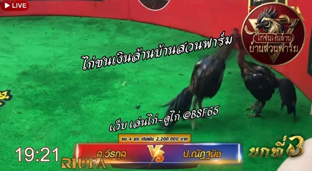 ป.ณัฐนิช 🆚 ส.วีรกุล  สนามบึงทับแต้ ยกที่ 3️⃣