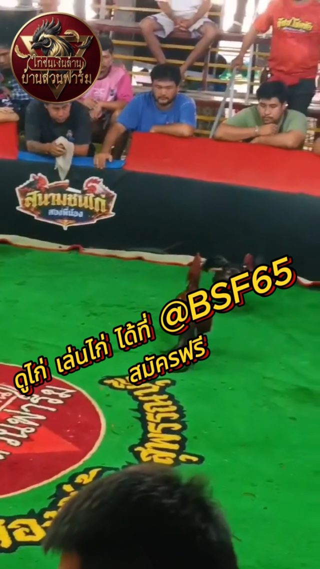 คลิปไฟต์ ล่าสุด เจ้าเทาหลอน เวที : สองพี่น้อง
