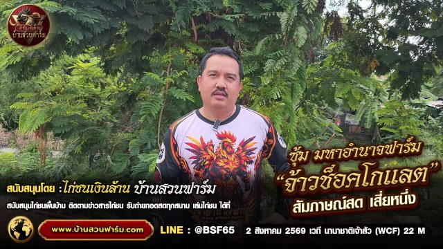 เจาะลึกเบื้องหลัง จ้าวช็อคโกแลต! ทำไมถึงเป็นยอดไก่ชนที่น่าจับตามองที่สุด สัมภาษณ์ : เสี่ยหนึ่ง