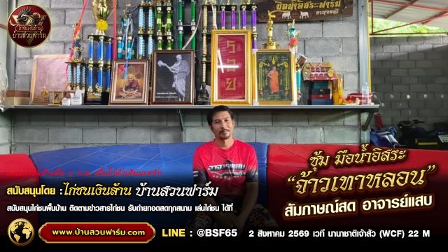 เปิดประวัติ จ้าวเทาหลอน ไก่ชนฝีมือดีจาก ซุ้ม มือน้ำอิสระ ! สัมภาษณ์ : อ.แสบ