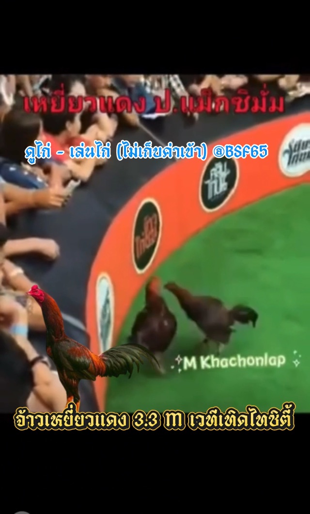 คลิปไฟต์ล่าสุด 3.3 M  จ้าวเหยี่ยวแดง ซุ้ม ป.แม็กซิมั่ม