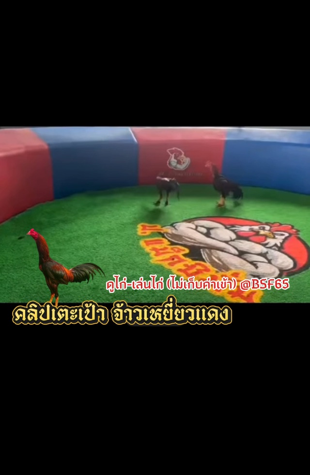 คลิปเตะเป้า จ้าวเหยี่ยวแดง ซุ้ม ป.แม็กซิมั่ม