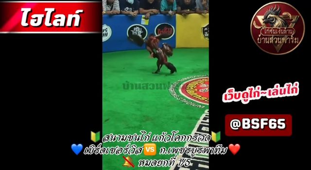 คลิปไฟตล่าสุด ( รายการ ศึกวัดสายพันธุ์ เวทีแก้วโคกกรวด )  เจ้าF16 ซุ้ม ก.เพชรบูรพา  ยกที่ 1