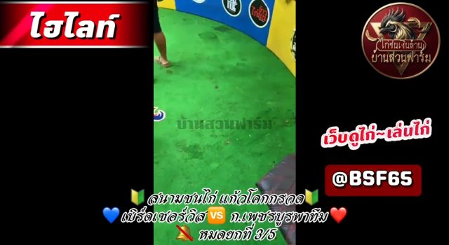 คลิปไฟตล่าสุด ( รายการ ศึกวัดสายพันธุ์ เวทีแก้วโคกกรวด )  เจ้าF16 ซุ้ม ก.เพชรบูรพา  ยกที่ 3