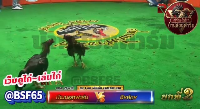 คลิปไฟต์ล่าสุด ( รายการ WCF 3 เวที นานาชาติเจ้าสัว ) เจ้าเขี้ยวเงิน ซุ้ม บ้านนอกฟาร์ม