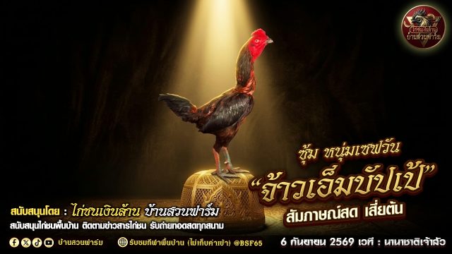 เบื้องหลังความเก่ง 'จ้าวเอ็มบัปเป้' หนุ่มเซฟวัน ไก่ชนตัวดังที่ทุกคนต้องจับตามอง!
