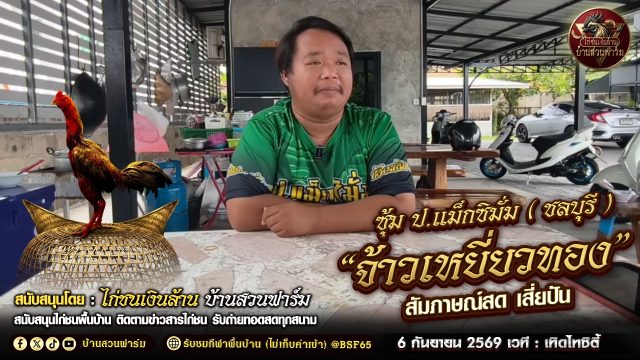 ส่องฟอร์ม 'จ้าวเหยี่ยวทอง' ทายาท ป.แม็กซิมั่ม (  สัมภาษณ์ เสี่ยปัน )