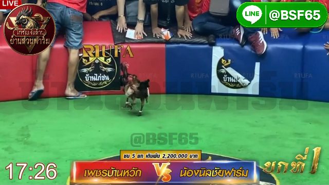 เพชรบ้านหวัก🆚น้องนิลชัยฟาร์ม ยก 1