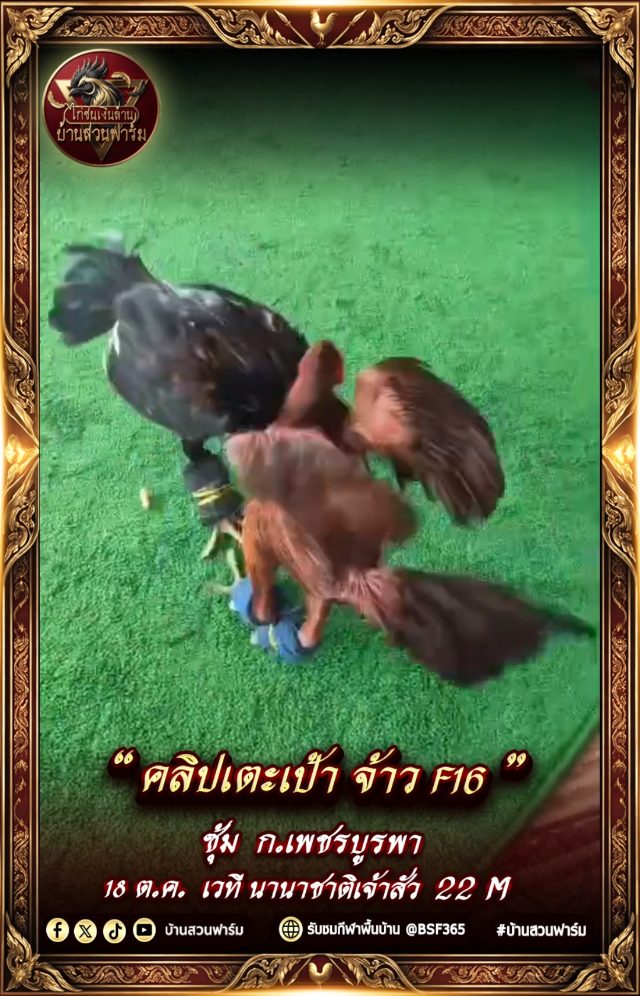 คลิปเตะเป้า เจ้าF16 ซุ้ม ก.เพชรบูรพา  ( 18 ต.ค. เวที นานาชาติเจ้าสัว ) 22 M