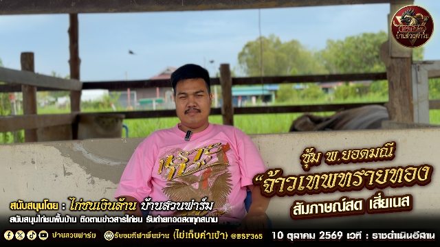เปิดประวัติ 🐔 จ้าวเทพทรายทอง 🐓: ซุ้ม พ.ยอดมณี  🗣: สัมภาษณ์ เสี่ยเนส  ( 10 ต.ค.69 เวที ไก่ทองอินเตอร์ )