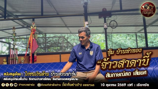 เปิดประวัติ 🐔 จ้าวสาดาบี้ 🐓: ซุ้ม บ้านทำทอง  🗣: สัมภาษณ์ เสี่ยยศ ( 10 ต.ค.69 เวที เรืองชัย  )