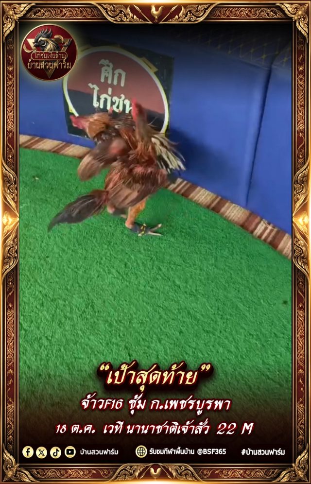 คลิปเตะเป้าเจ้า F16 ซุ้ม ก.เพชรบูรพา