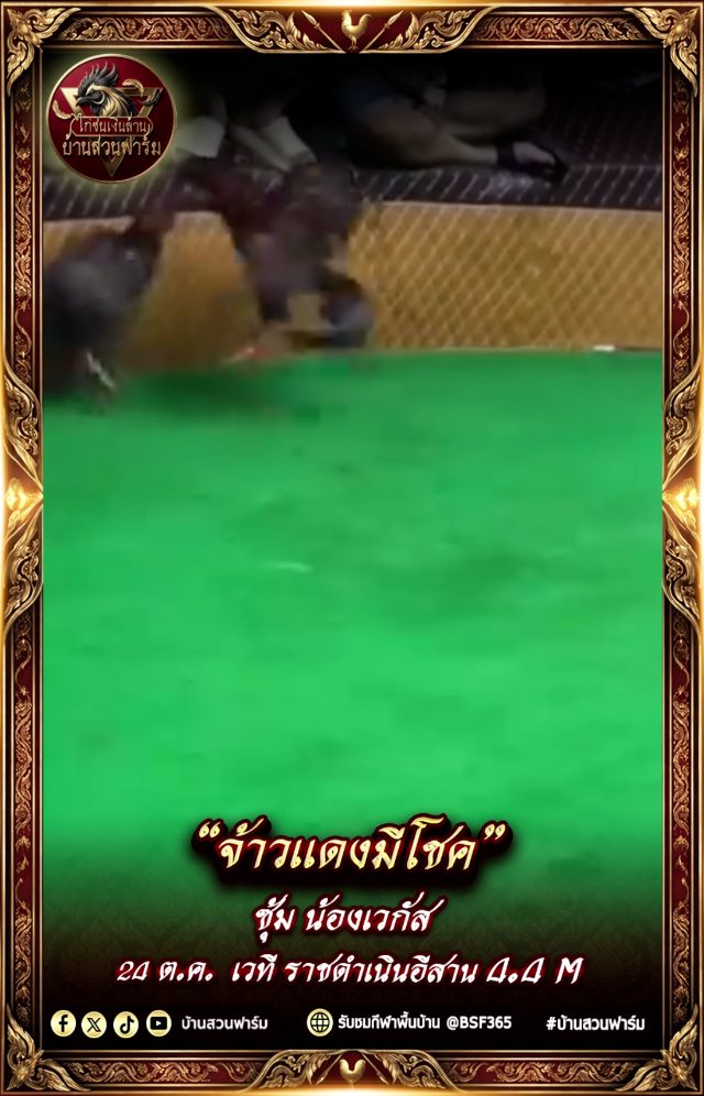 คลิปเตะเป้า เจ้าแดงมีโชค ซุ้ม น้องเวกัส