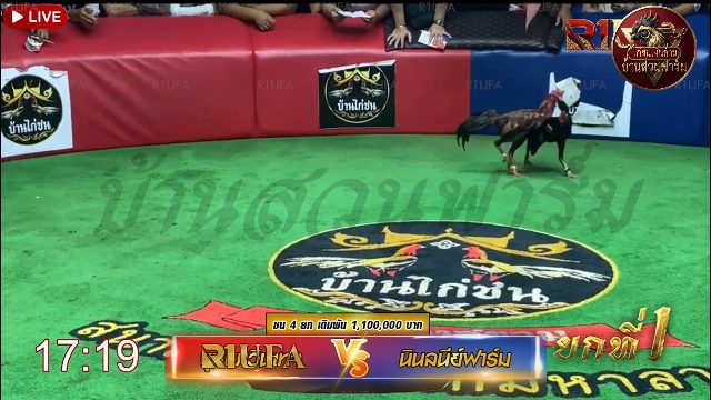 ขุนเขาวินเทจ 🆚 นินลนีย์ฟาร์ม ยกที่ 1️⃣
