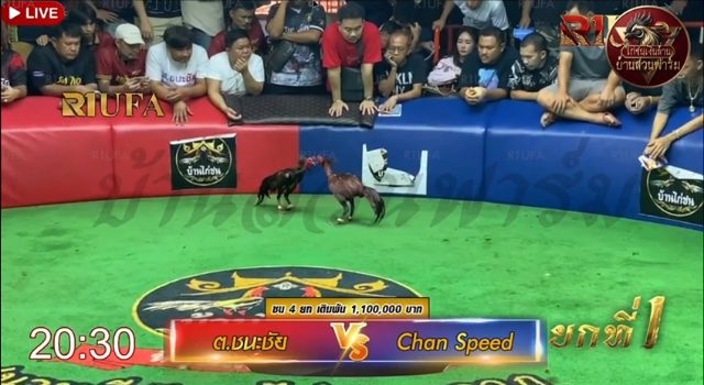 ต.มีชัย 🆚 Chan Speed ยกที่ 1️⃣