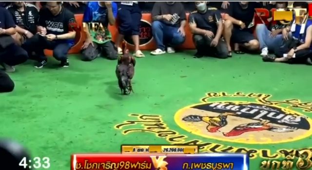 ช.โชคเจริญ98ฟาร์ม 🆚 ก.เพชรบูรพา ยกที่ 3️⃣