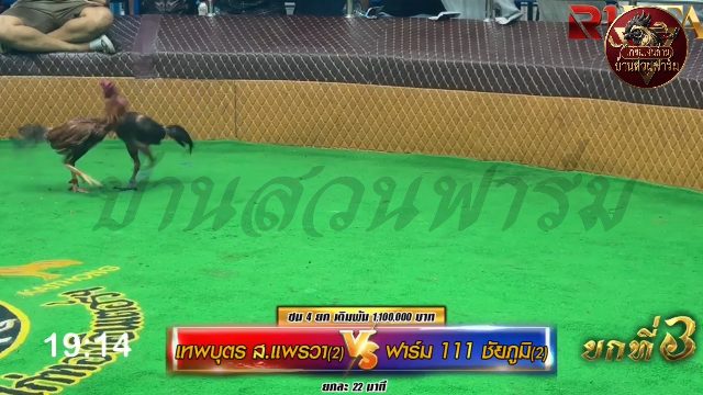 เทพบุตร ส.แพรวา 1 🆚 ฟาร์ม111ชัยภูมิ1 ยกที่ 3️⃣