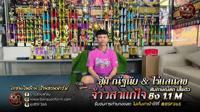 เปิดประวัติ 🐔จ้าวสาแก่ใจ 🐓 ซุ้ม ณัฐนัย & ไร่แสนสุข