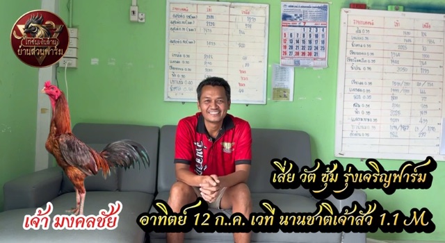 ประวัติชนเชิง เจ้ามงคลชัย ซุ้ม รุ่งเจริญฟาร์ม | สัมภาษณ์สด เสี่ยวัต อาทิตย์ 12 ก.ค. เวทีนานาชาติเจ้า 1.1 M